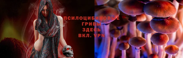 дурь Алексеевка
