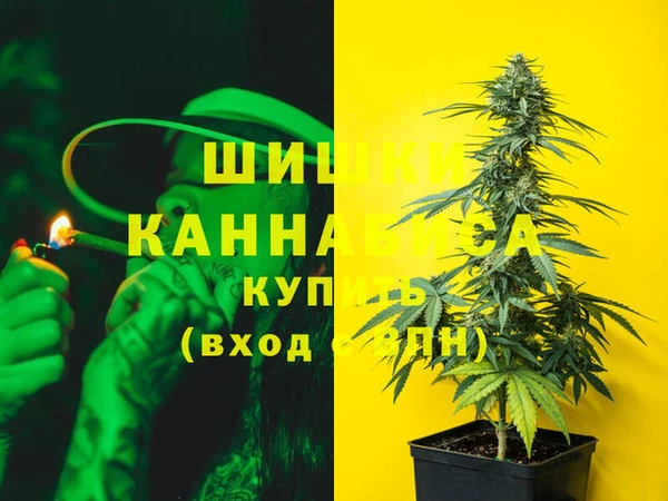 винт Алзамай