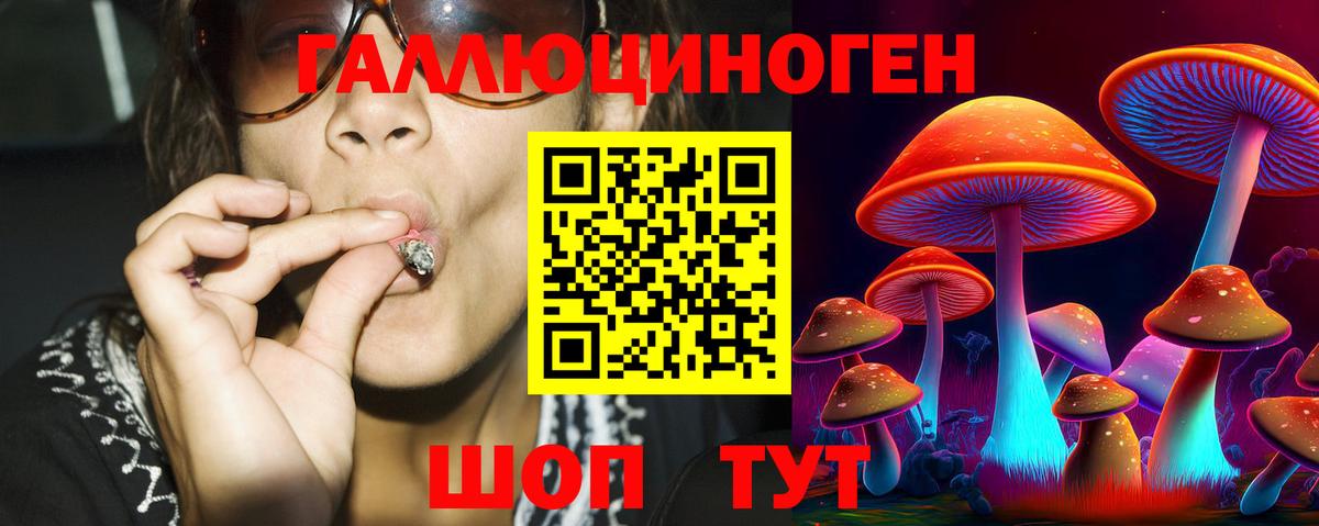 Псилоцибиновые грибы прущие грибы  Вход с VPN  Санкт-Петербург 